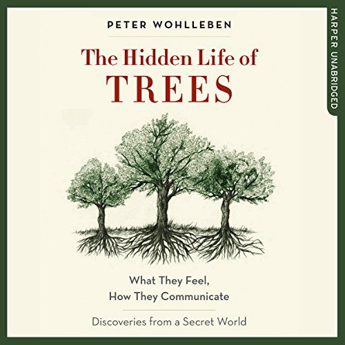 The Hidden Life of Trees — Summary & Key Takeaways